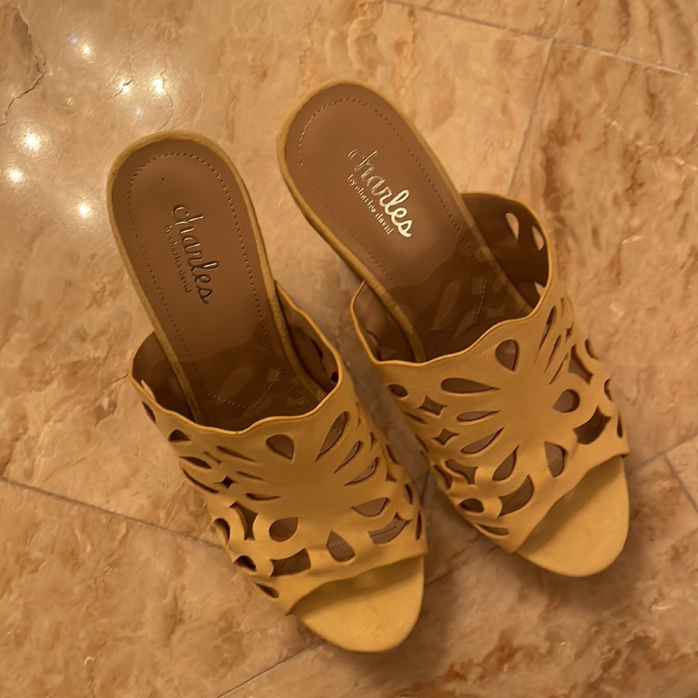 Charles by Charles David shoes size 8.5